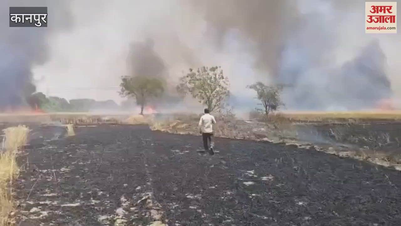 VIDEO : Fire broke out in wheat fields, several bighas of crops burnt to ashes