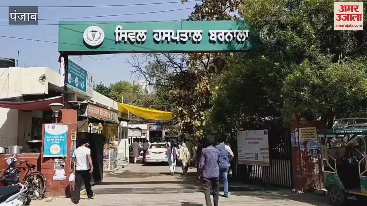 VIDEO : बरनाला शहर में लावारिस कुत्तों के आतंक से लोग परेशान