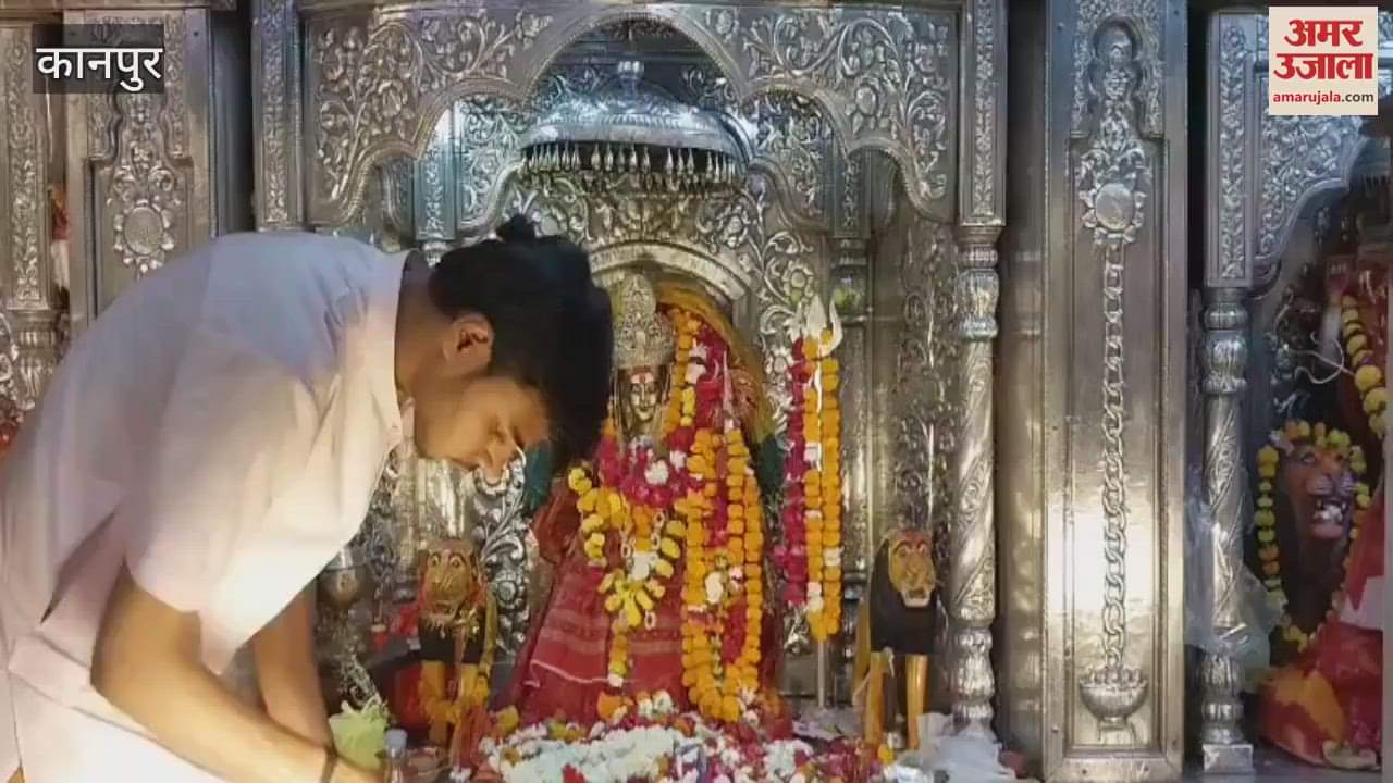 VIDEO : Crowd of devotees gathered to get treasure in Shri Jangli Devi Temple