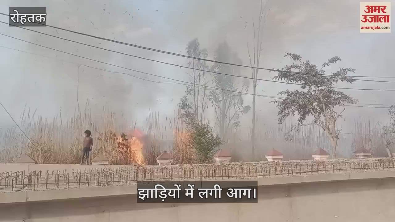 VIDEO : रोहतक में झाड़ियों में लगी आग, झुग्गियां बची