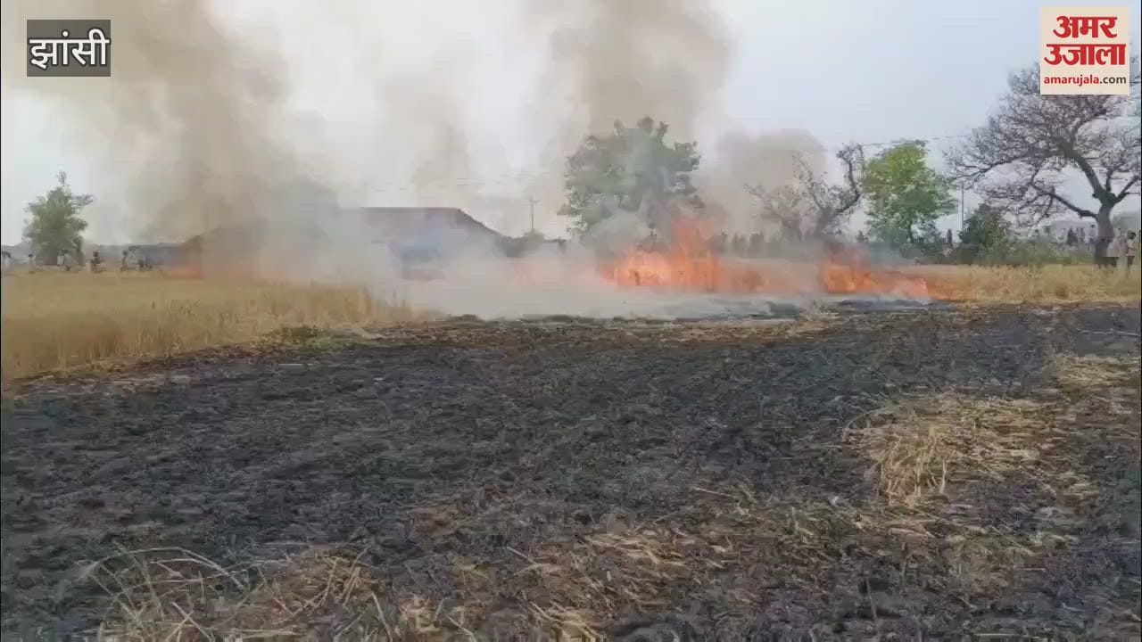 VIDEO : A spark came out from the high tension wire and 10 bigha wheat crop turned into ashes