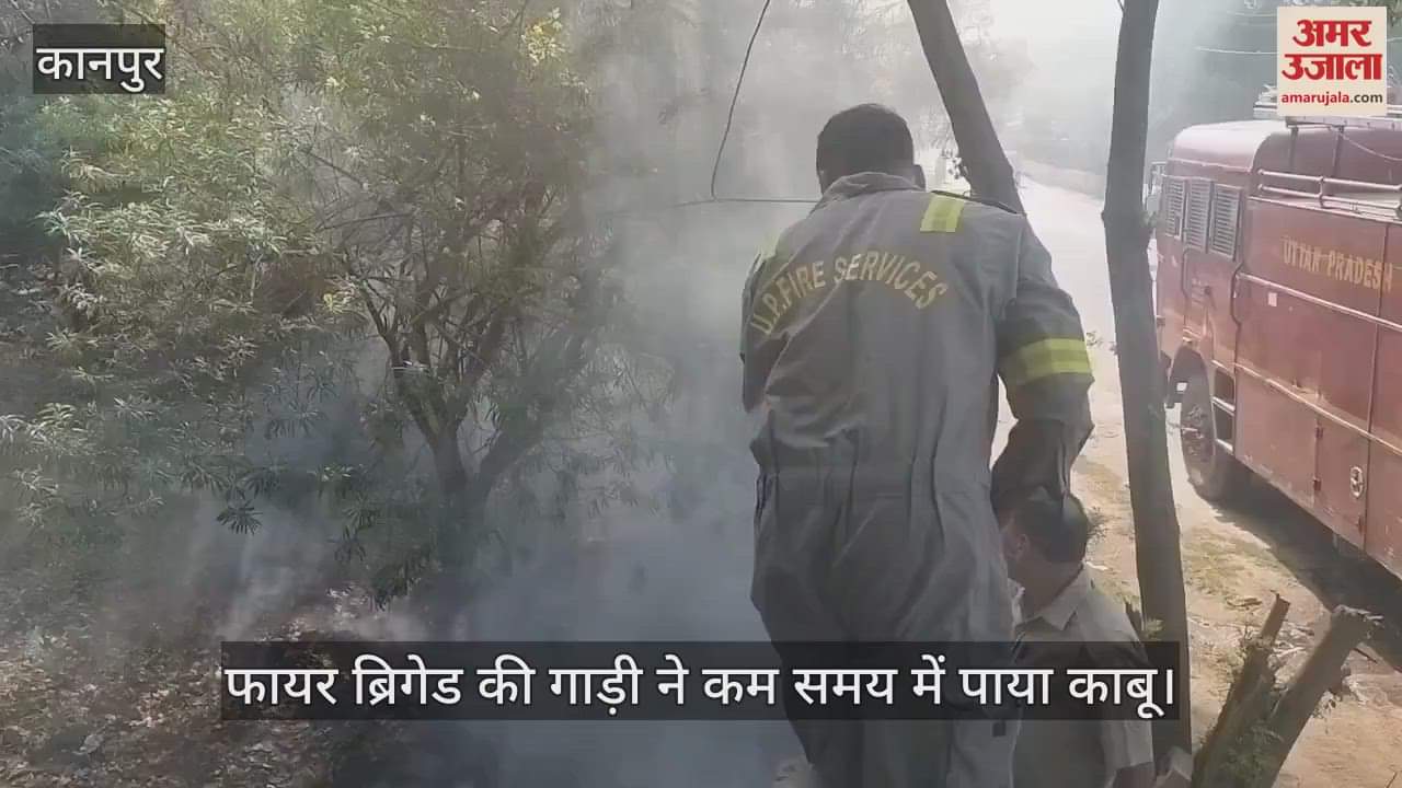 VIDEO : Kanpur…खाली प्लॉट की झाड़ियों में लगी आग, फायर ब्रिगेड ने पाया काबू