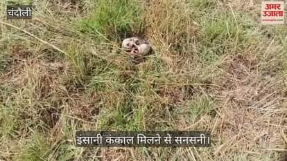 VIDEO : There was a stir after a human skeleton was found in Golabad village of Chandauli