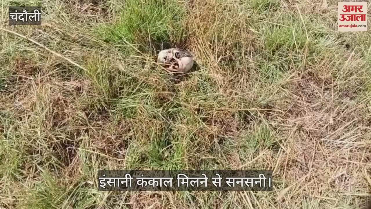 VIDEO : There was a stir after a human skeleton was found in Golabad village of Chandauli