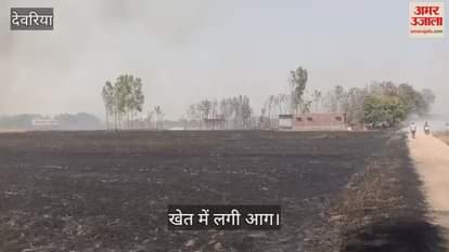 VIDEO : Spark from combine machine causes fire in wheat field