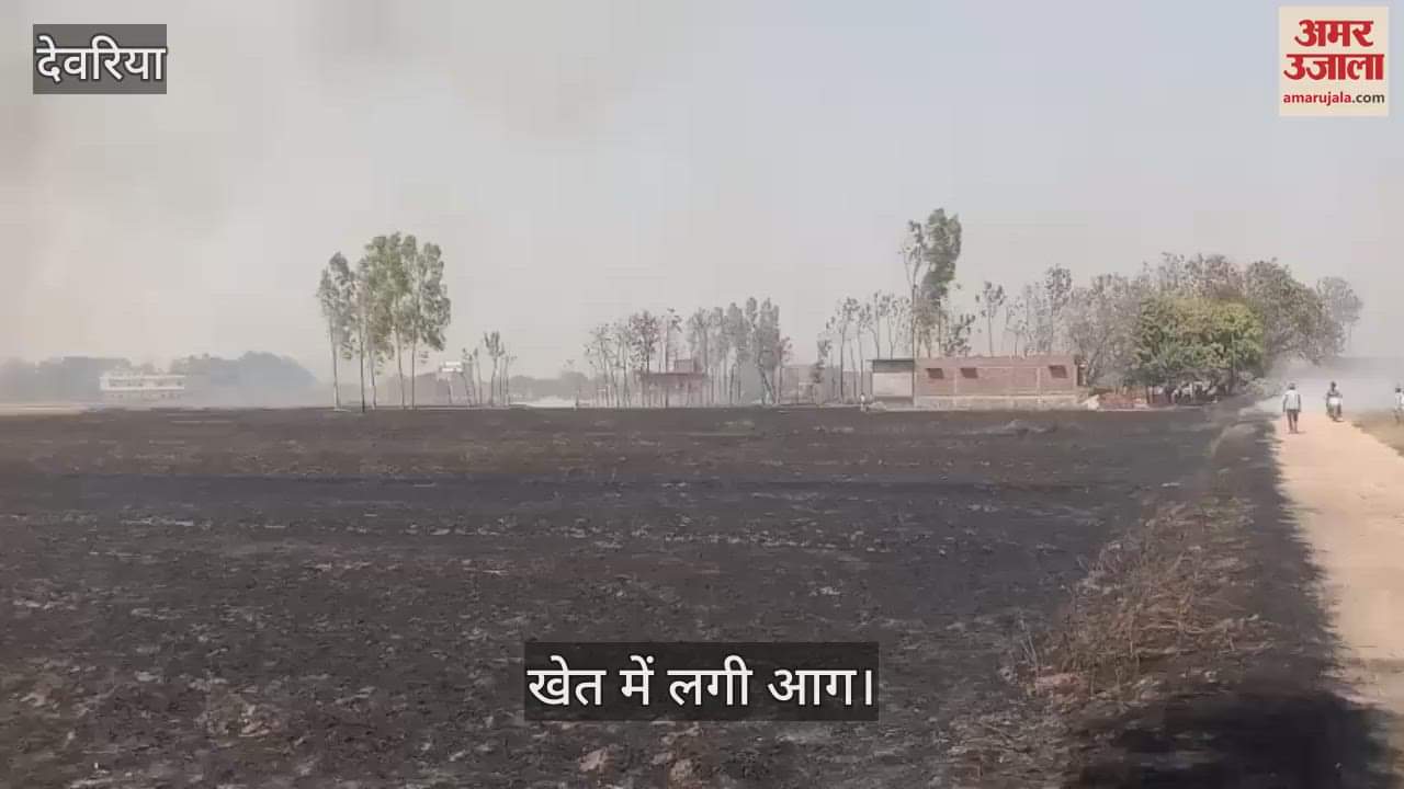 VIDEO : Spark from combine machine causes fire in wheat field