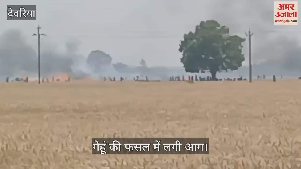VIDEO : Crop burnt due to fire