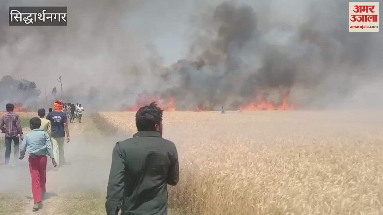 VIDEO : Wheat crop burnt to ashes by fire