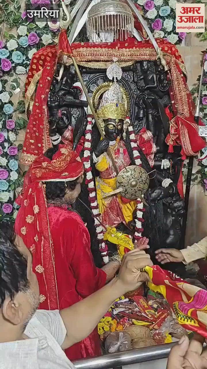 Grand preparations for Mahaarati and historic Jawara procession at Maa Birasini Devi temple