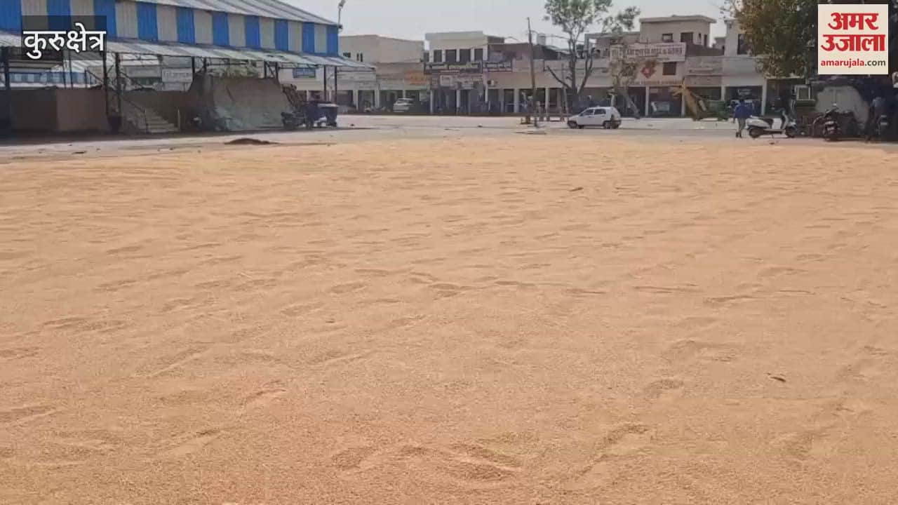 VIDEO : पूर्व राज्यमंत्री सुभाष सुधा पहुंचे थानेसर अनाजमंडी, गेहूं में नमी की जांच की