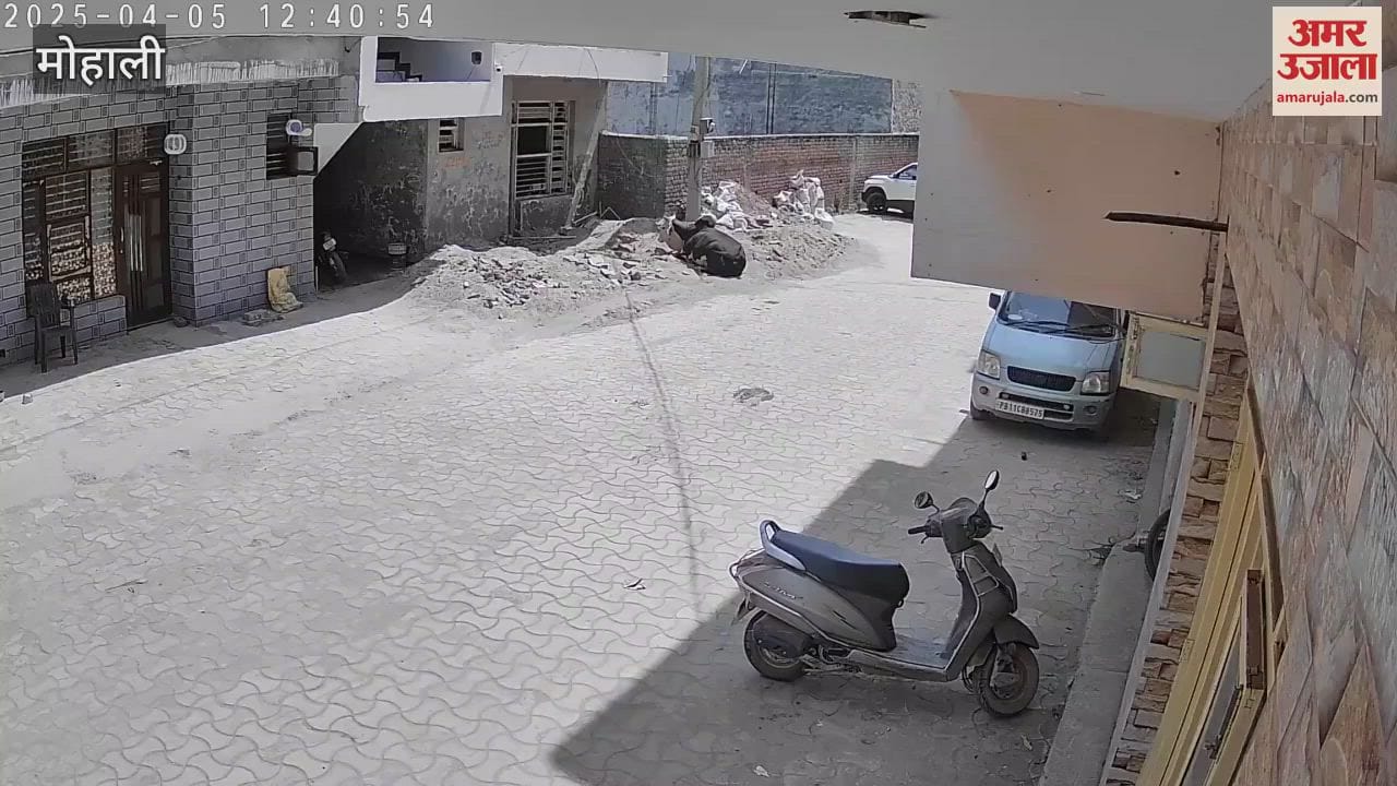 VIDEO : Bike Was Put In Front Of Scooty And Snatched Gold Chain In Kharar