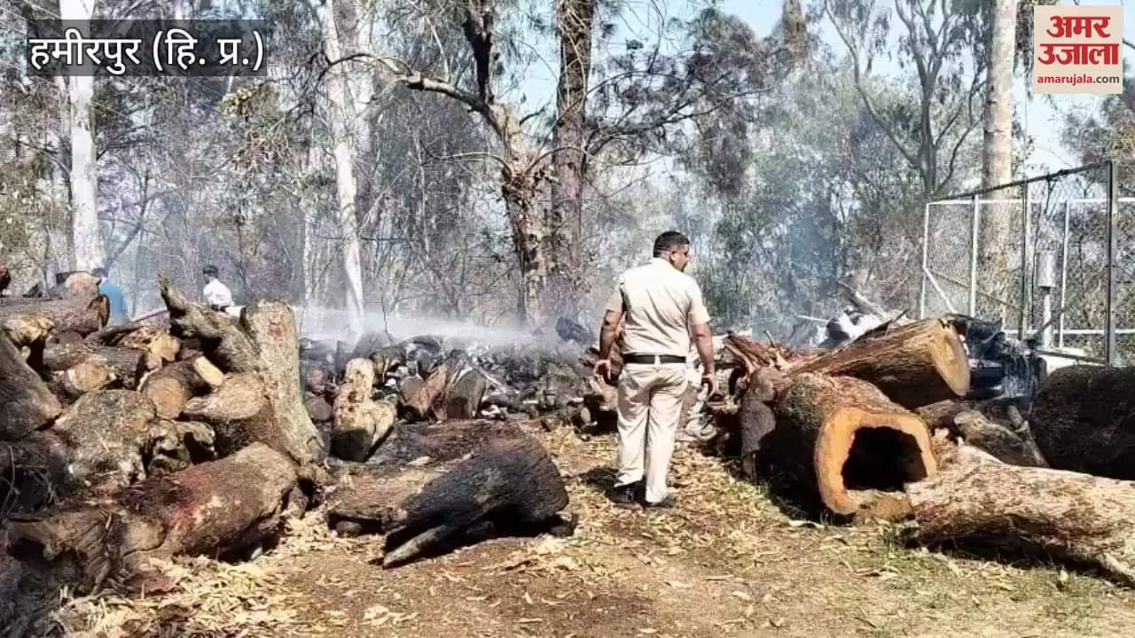 VIDEO : Fire broke out in the forest near Forest Rest House Bharedi the wood depot was also engulfed