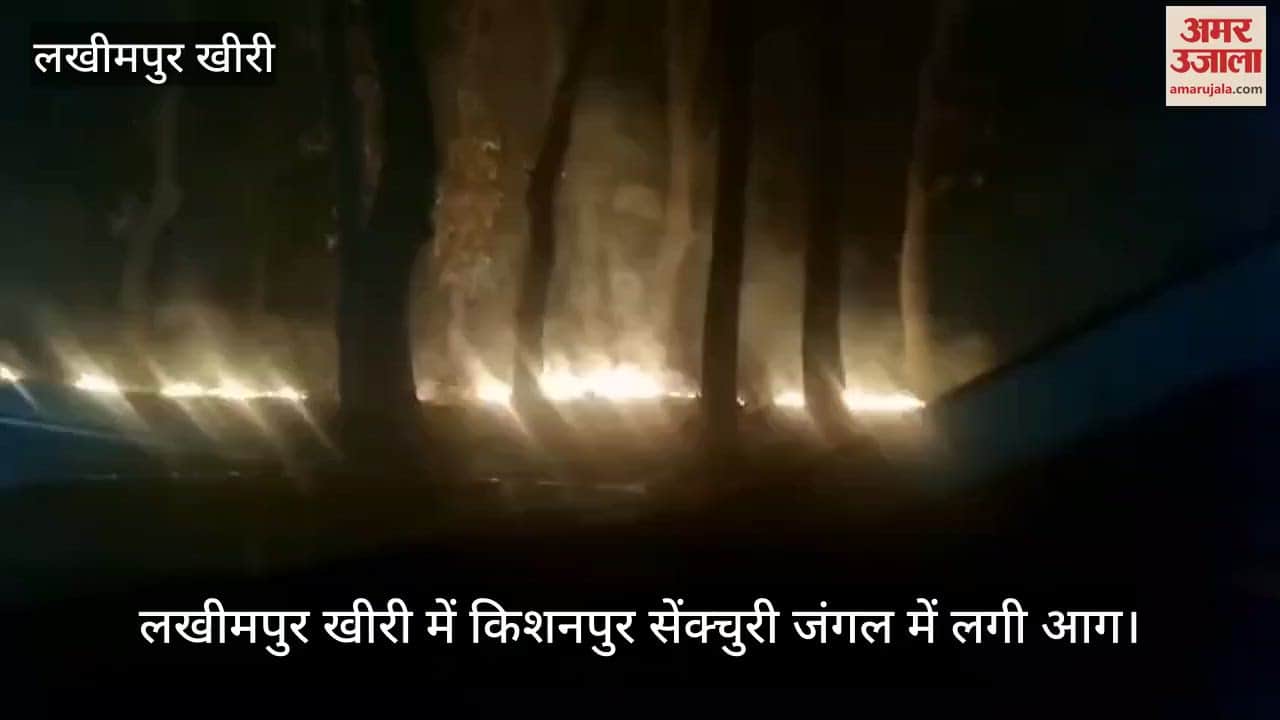 VIDEO : Fire broke out in Kishanpur Sanctuary forest in Lakhimpur Kheri