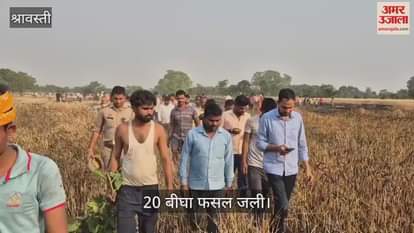 VIDEO : श्रावस्ती: अज्ञात कारणों से लगी आग, 20 बीघा फसल जली