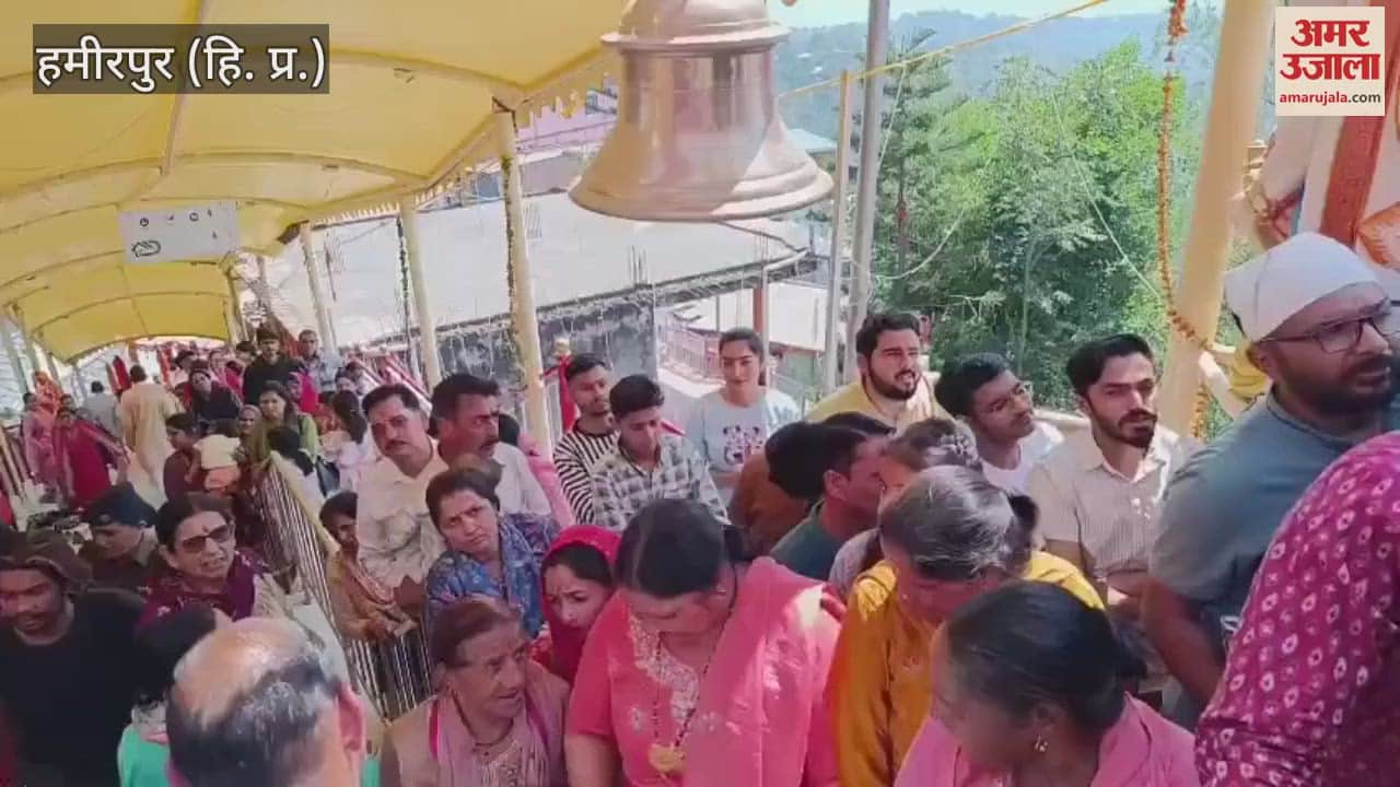 VIDEO : Crowd of devotees gathered at Avahadevi Mata Temple
