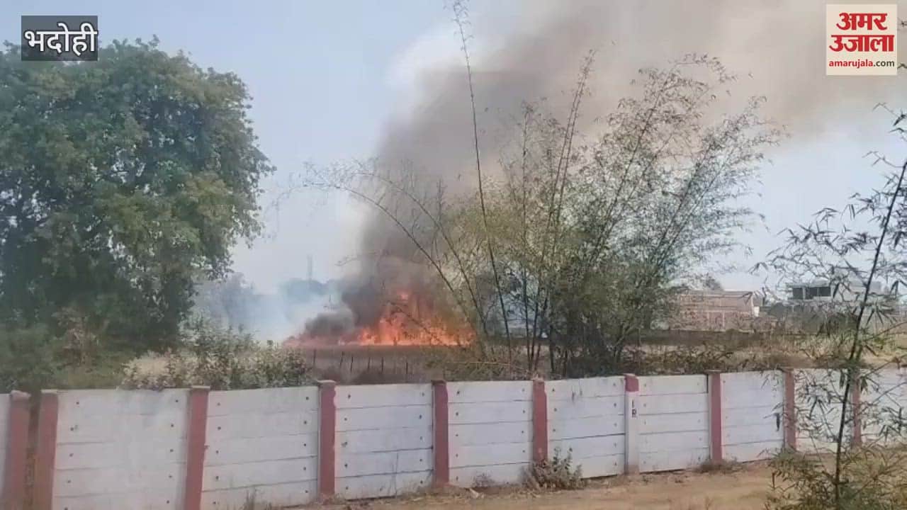 VIDEO : Fire broke out in wheat crop two bighas burnt to ashes