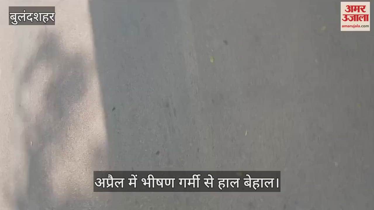 VIDEO : Temperature reached 39.2 degrees in Bulandshahr