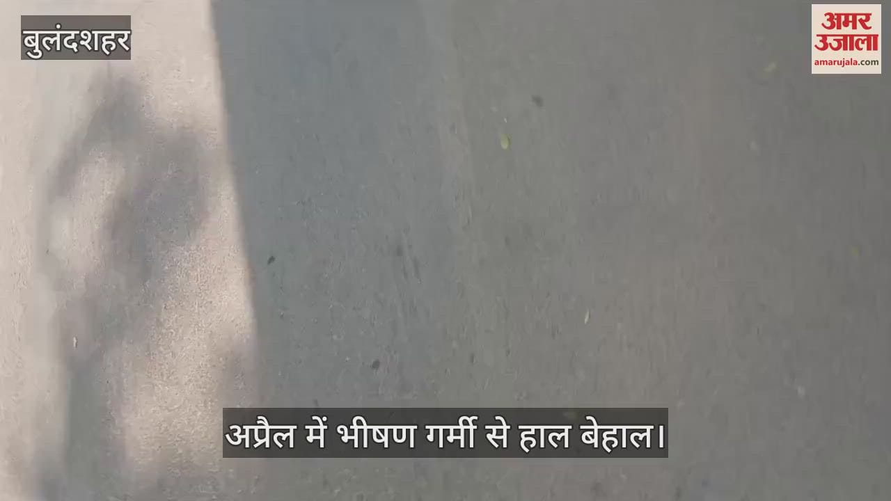 VIDEO : Temperature reached 39.2 degrees in Bulandshahr