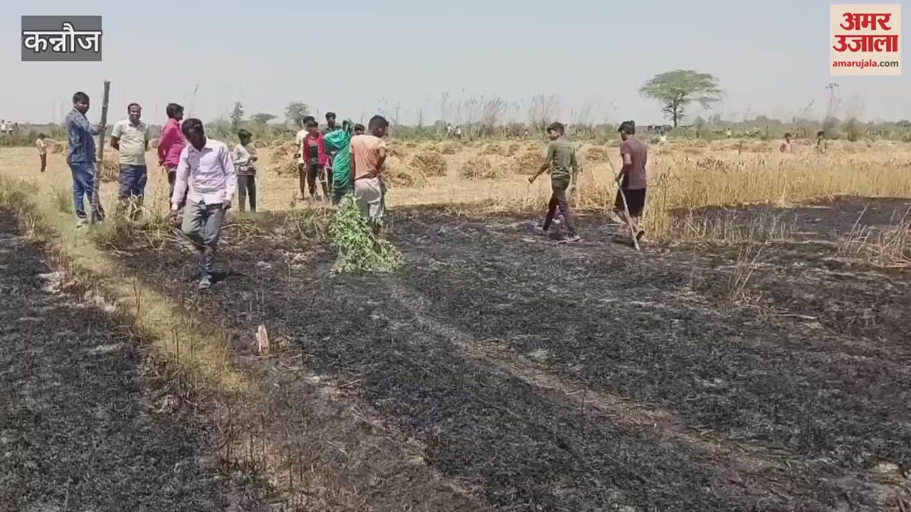 VIDEO : 12 bigha wheat burnt due to havan fire