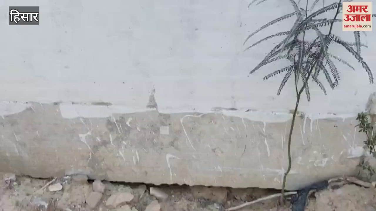 VIDEO : more than 25 holes in the 8 kilometer boundary wall of Hisar airport, pillars are also damaged
