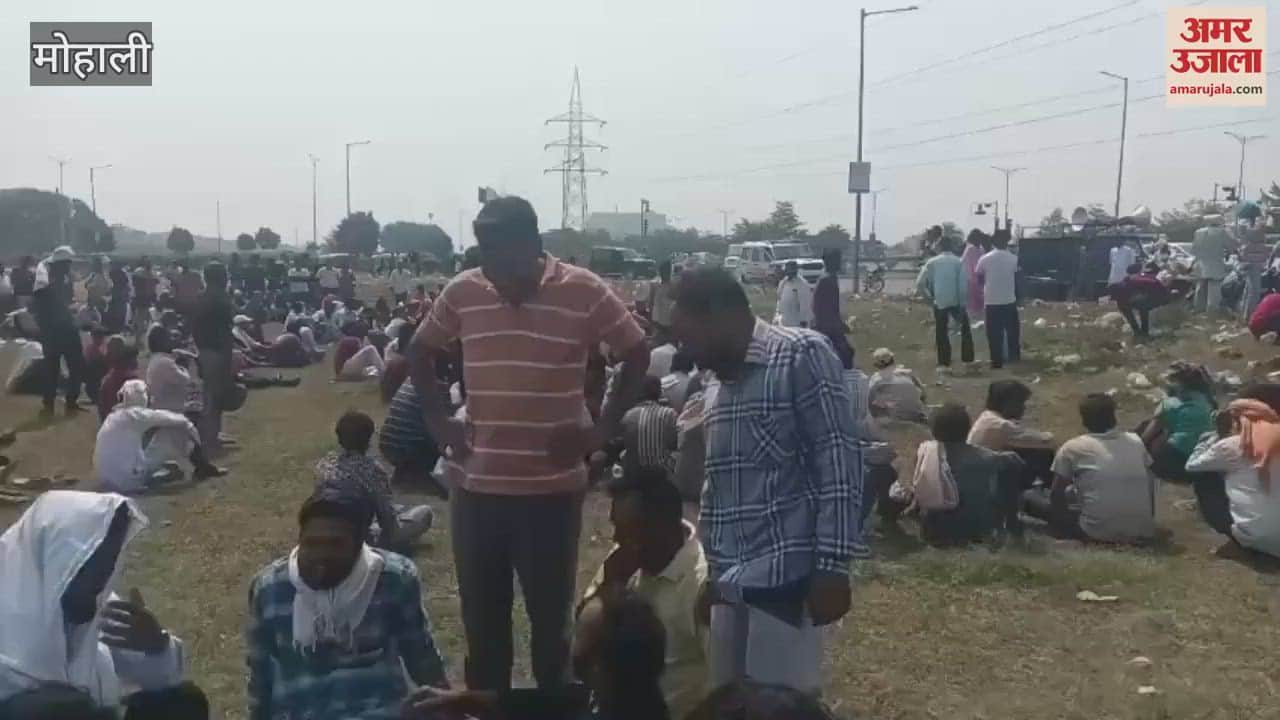 VIDEO : Sanitation workers' strike in Sector 82 IT City, Mohali