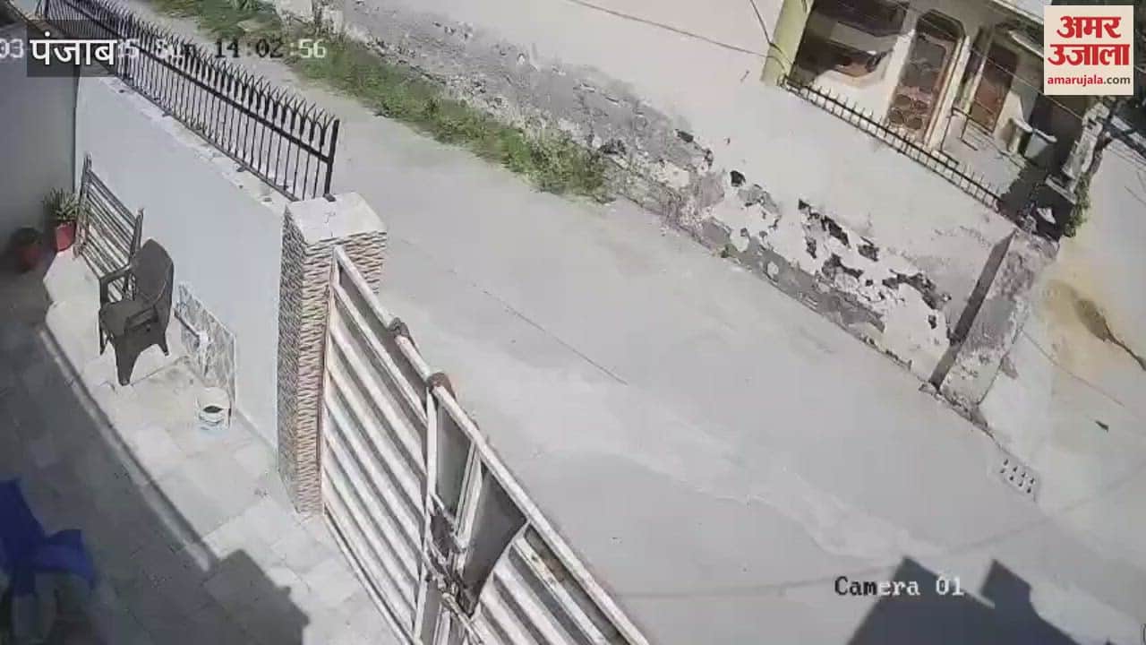 VIDEO : LED stolen in Kapurthala