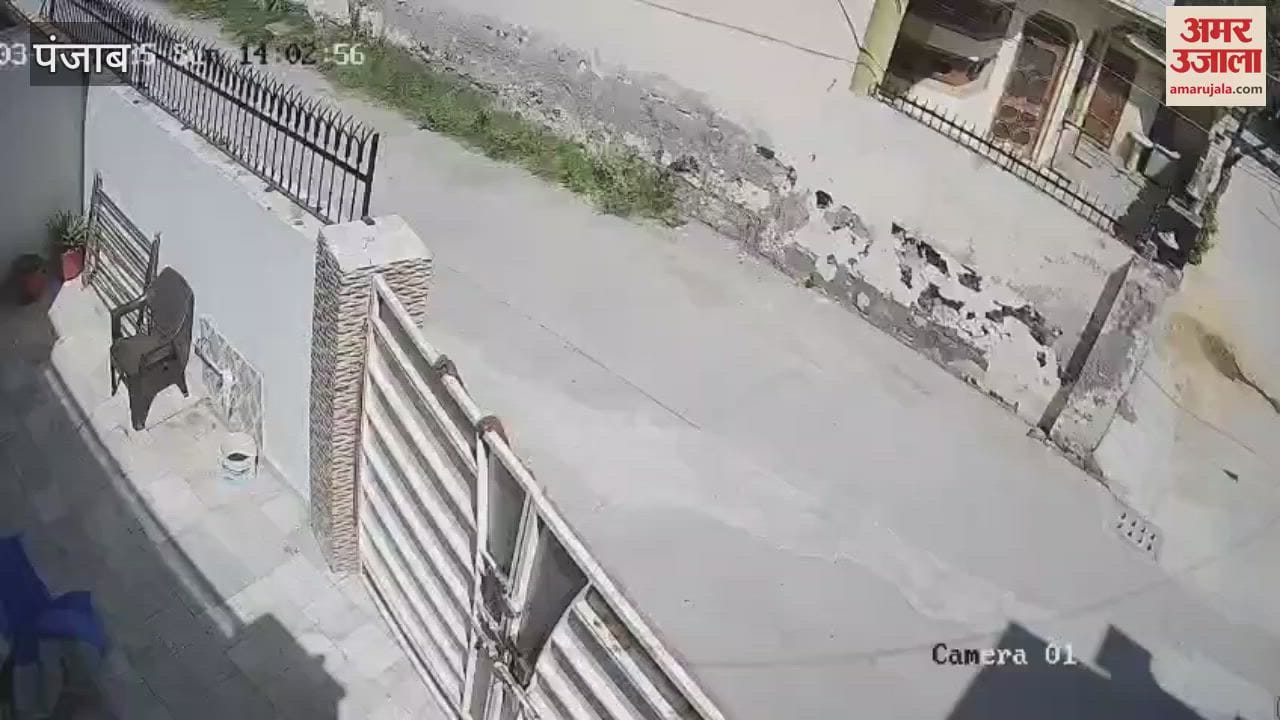 VIDEO : LED stolen in Kapurthala