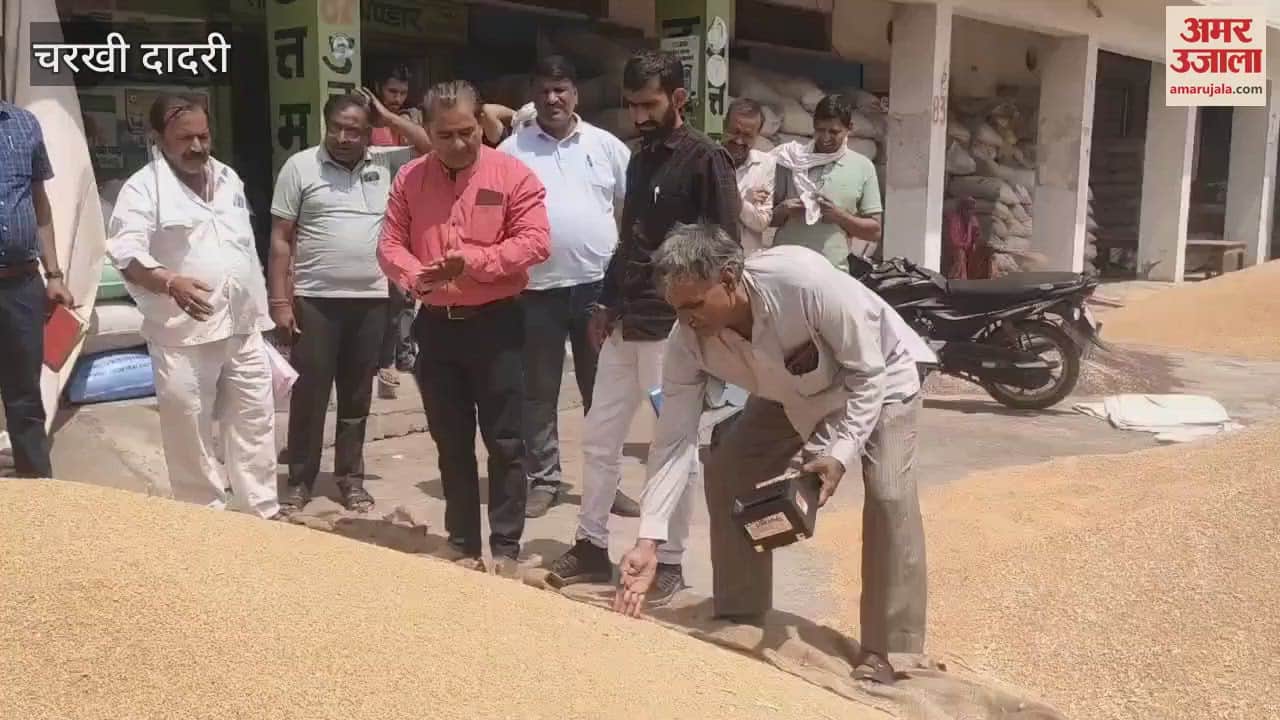 VIDEO : Wheat procurement started in Dadri, NAFED manager inaugurated it