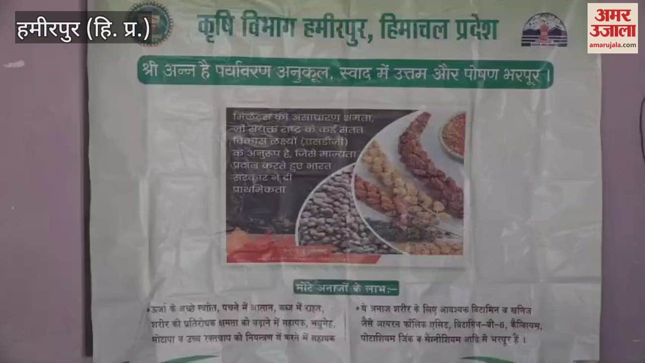 VIDEO : Women of Badei village of Chabutra area are earning good money from natural farming