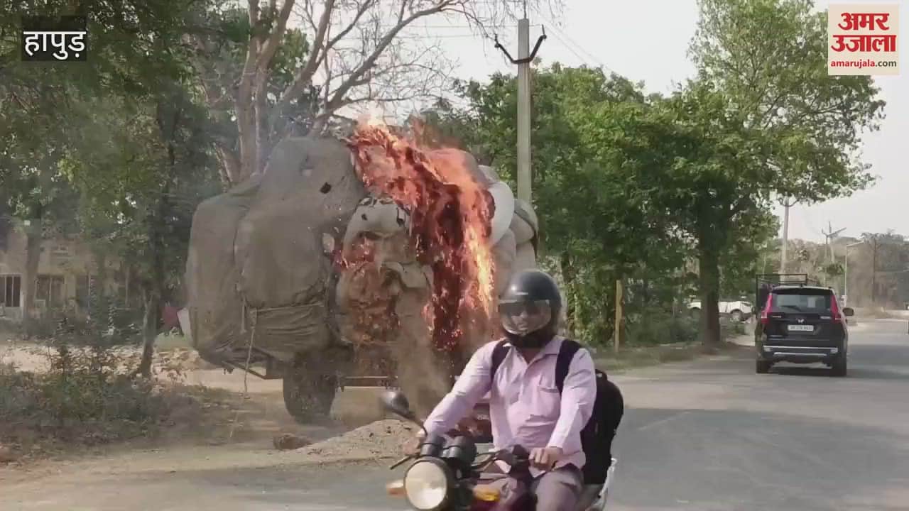 VIDEO : A tractor trolley loaded with straw caught fire in Hapur