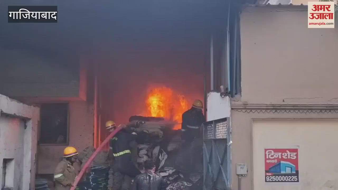 VIDEO : huge fire broke out in factory in Tronica City adjacent to Delhi