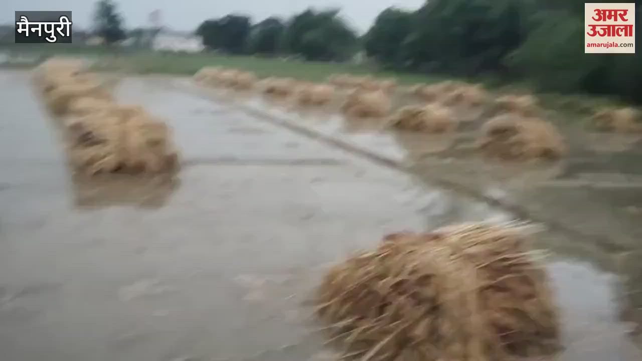 VIDEO : Hail and heavy rain in mainpuri in Uttar Pradesh