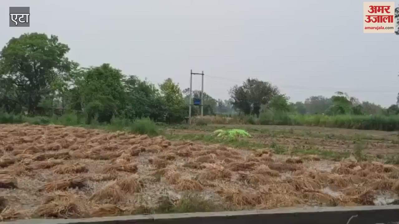 VIDEO : Hail and heavy rain in etah in Uttar Pradesh.