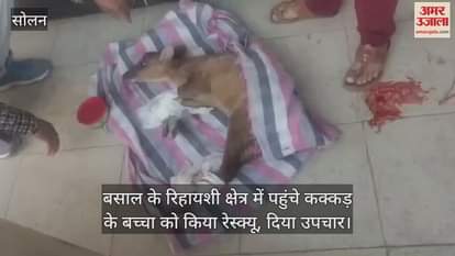 VIDEO : Kakkar's child reached the residential area, department rescued him