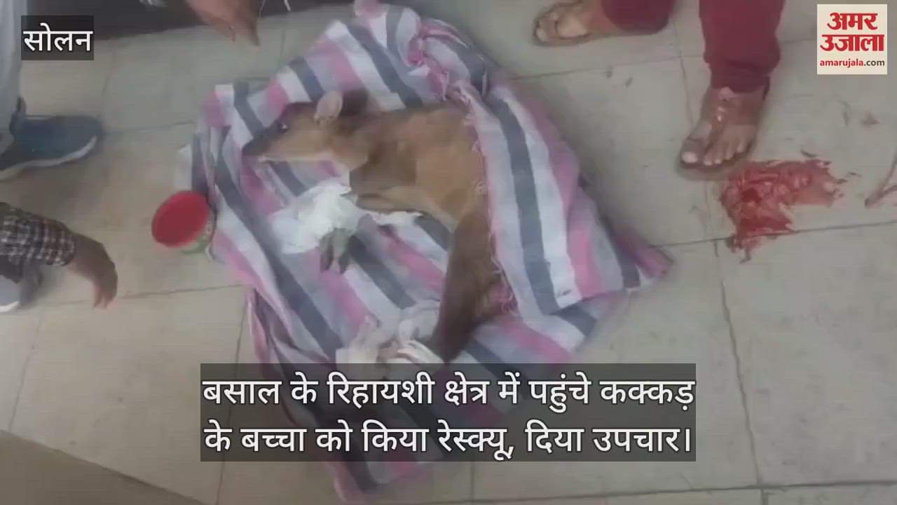 VIDEO : Kakkar's child reached the residential area, department rescued him