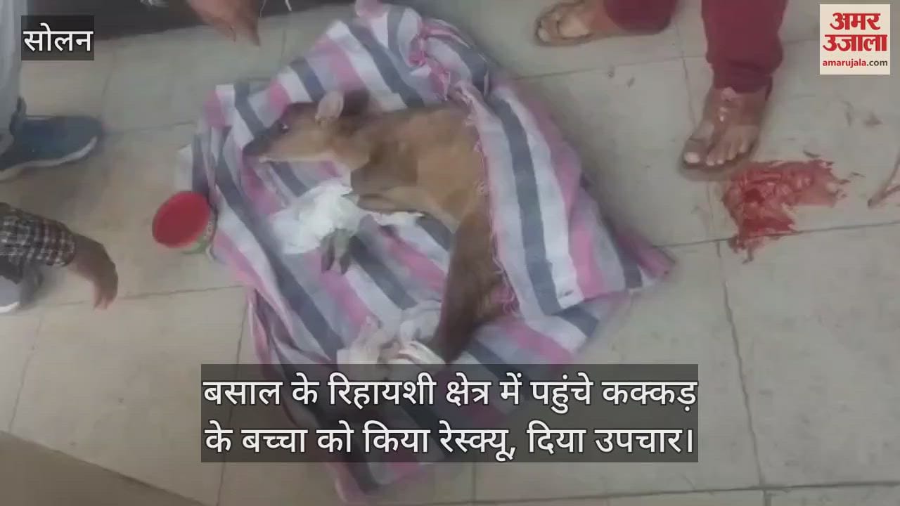VIDEO : Kakkar's child reached the residential area, department rescued him