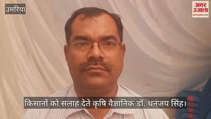 Agricultural scientist Dr. Dhananjay Singh gave important advice to farmers, know the reason