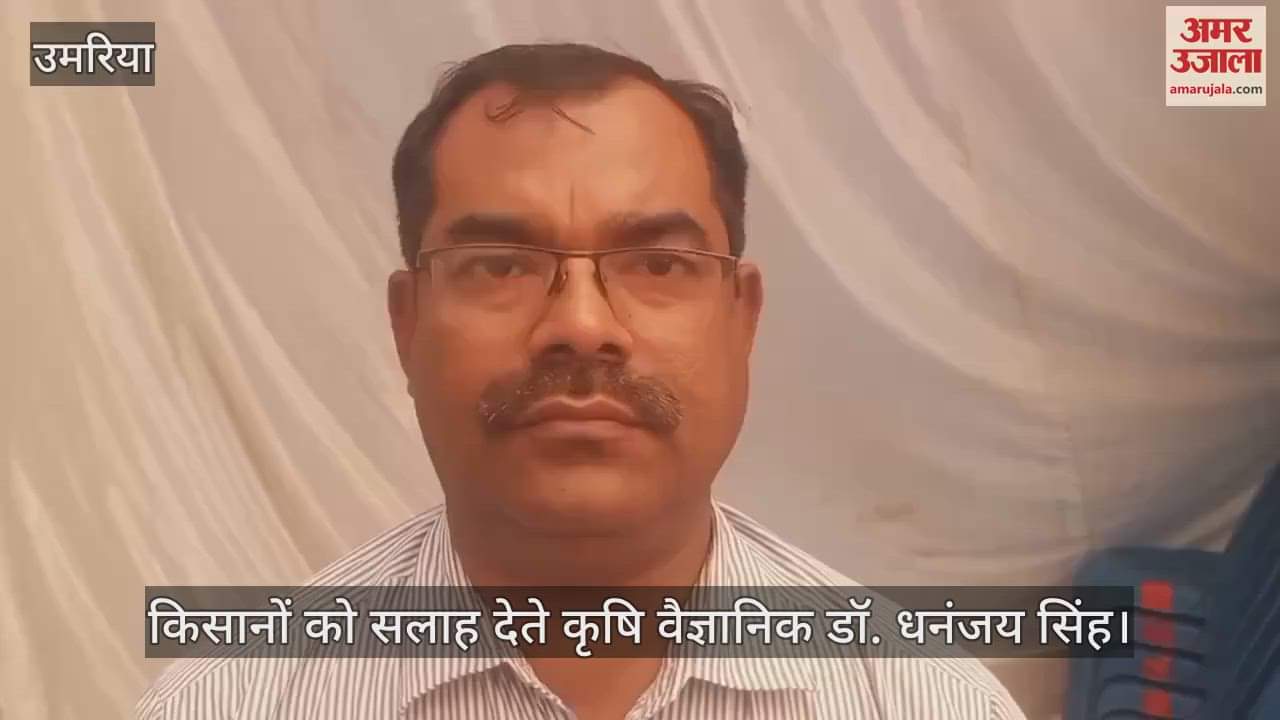 Agricultural scientist Dr. Dhananjay Singh gave important advice to farmers, know the reason