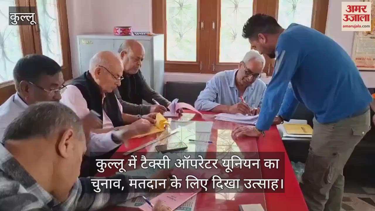 VIDEO : Taxi operator union election in Kullu, enthusiasm seen for voting