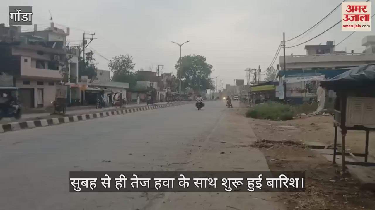 VIDEO : Gonda: सुबह से ही तेज हवा के साथ शुरू हुई बारिश, फसल गिरी