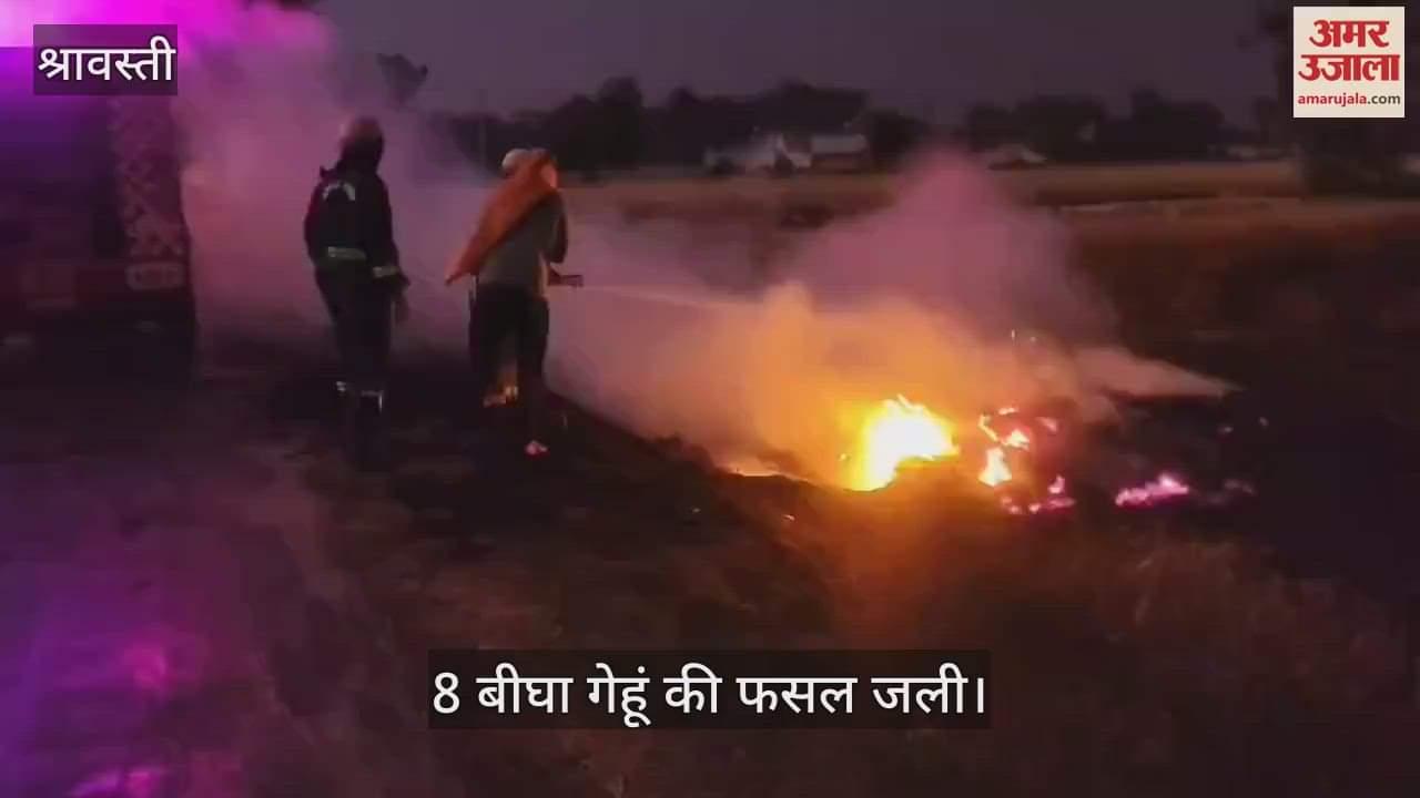 VIDEO : श्रावस्ती: हाइटेंशन लाइन से निकली चिंगारी, 8 बीघा गेहूं की फसल जली