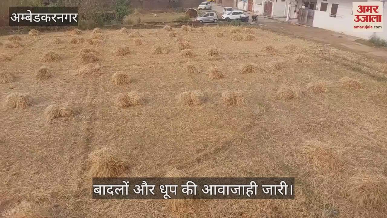 VIDEO : अंबेडकरनगर: रात में हुई बारिश, सुबह से बादलों और धूप की आवाजाही जारी