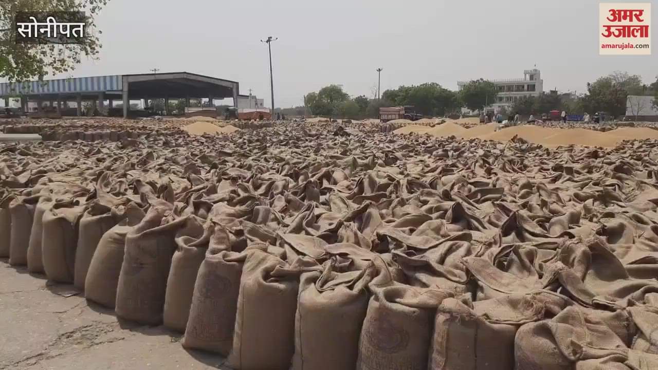 VIDEO : Claim of wheat lifting in Sonipat Mandi in 72 hours, but the reality is far away