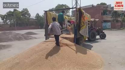VIDEO : Traders' strike continues in Fatehabad, wheat continues to arrive in the market