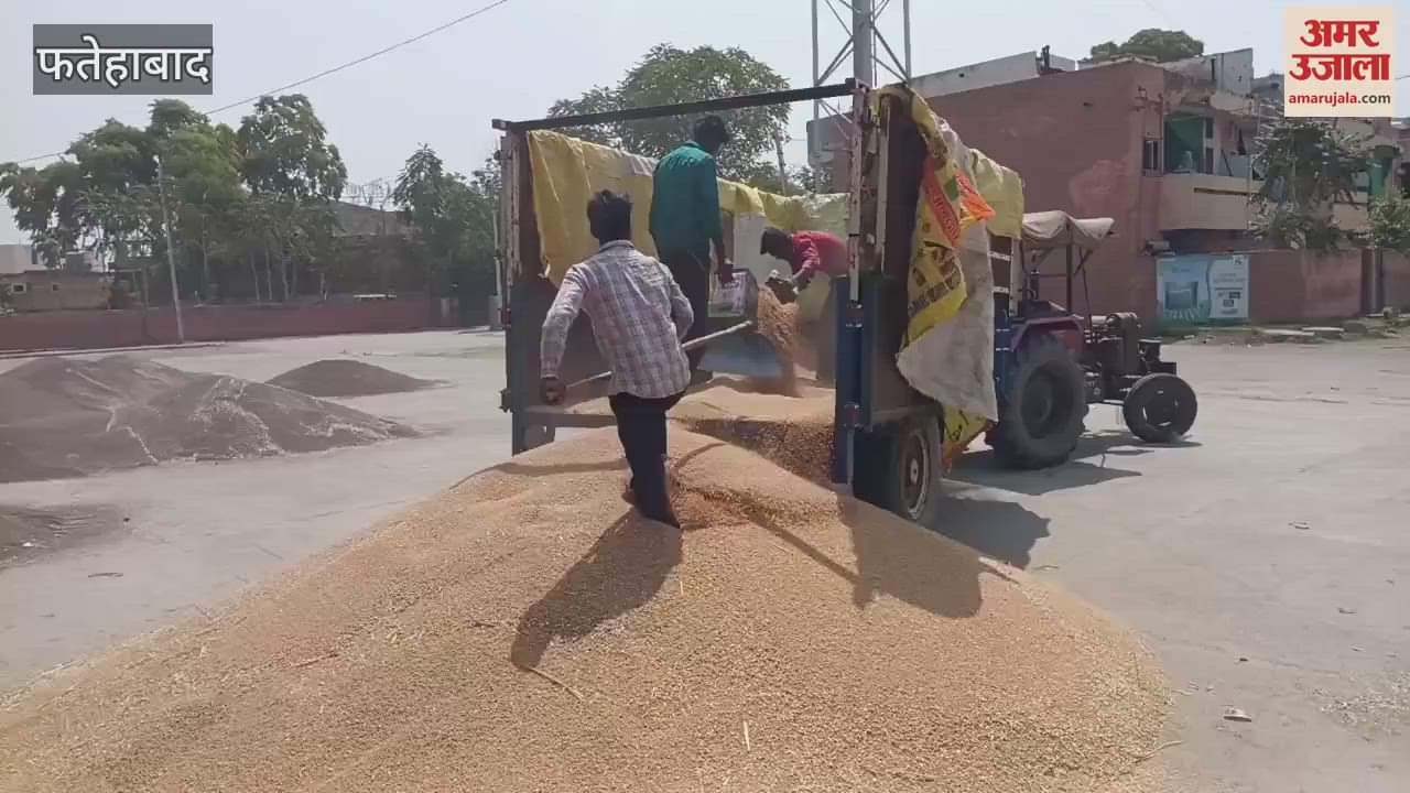 VIDEO : Traders' strike continues in Fatehabad, wheat continues to arrive in the market