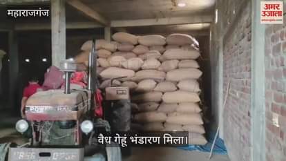 VIDEO : Illegal wheat storage found in a house, Tehsildar caught it
