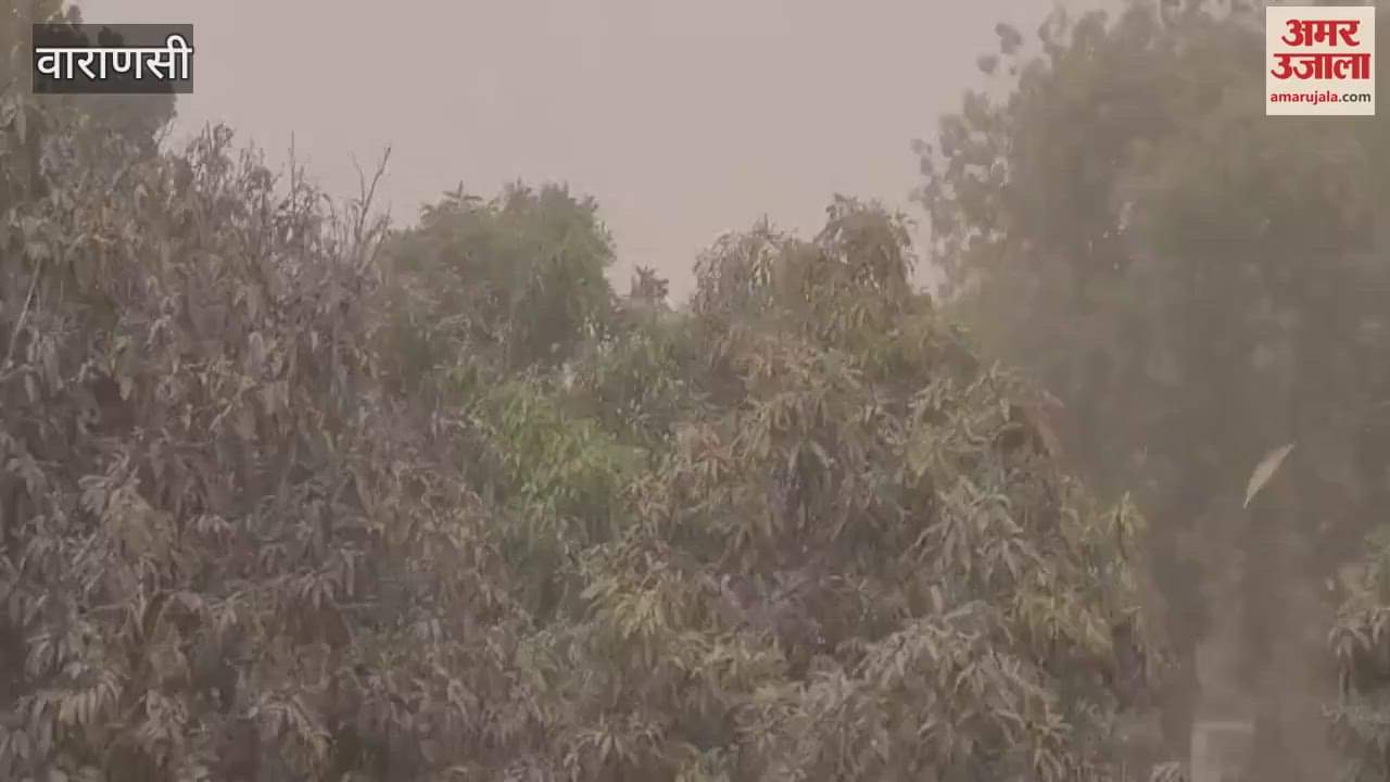 VIDEO : Strong winds destroyed the garden