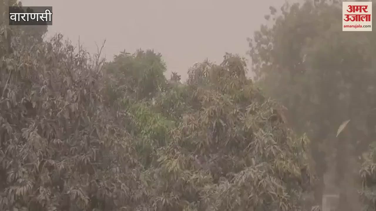 VIDEO : Strong winds destroyed the garden
