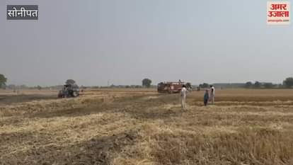 VIDEO : सोनीपत में तीन एकड़ गेहूं की फसल व 20 एकड़ फांस जले