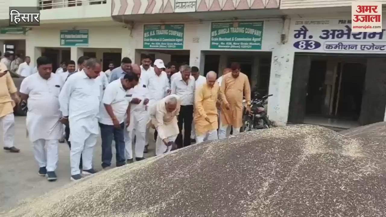 VIDEO : हिसार मंडी में पहुंचे मंत्री रणबीर सिंह गंगवा, मीटर लेकर जांची सरसों की नमी